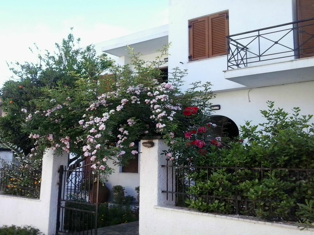 Karagiozos Studios & Apartments Skopelos Eksteriør billede