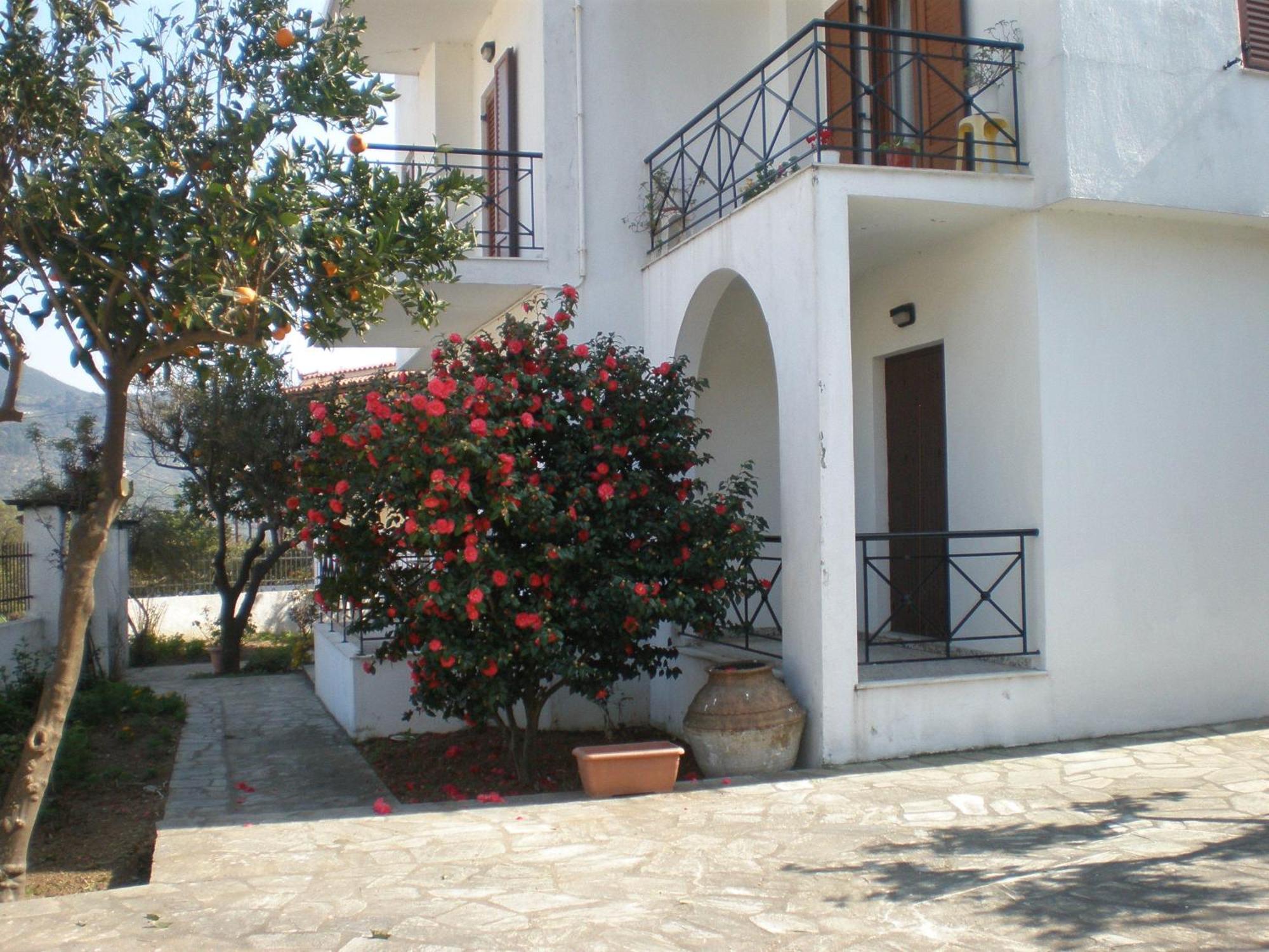 Karagiozos Studios & Apartments Skopelos Eksteriør billede