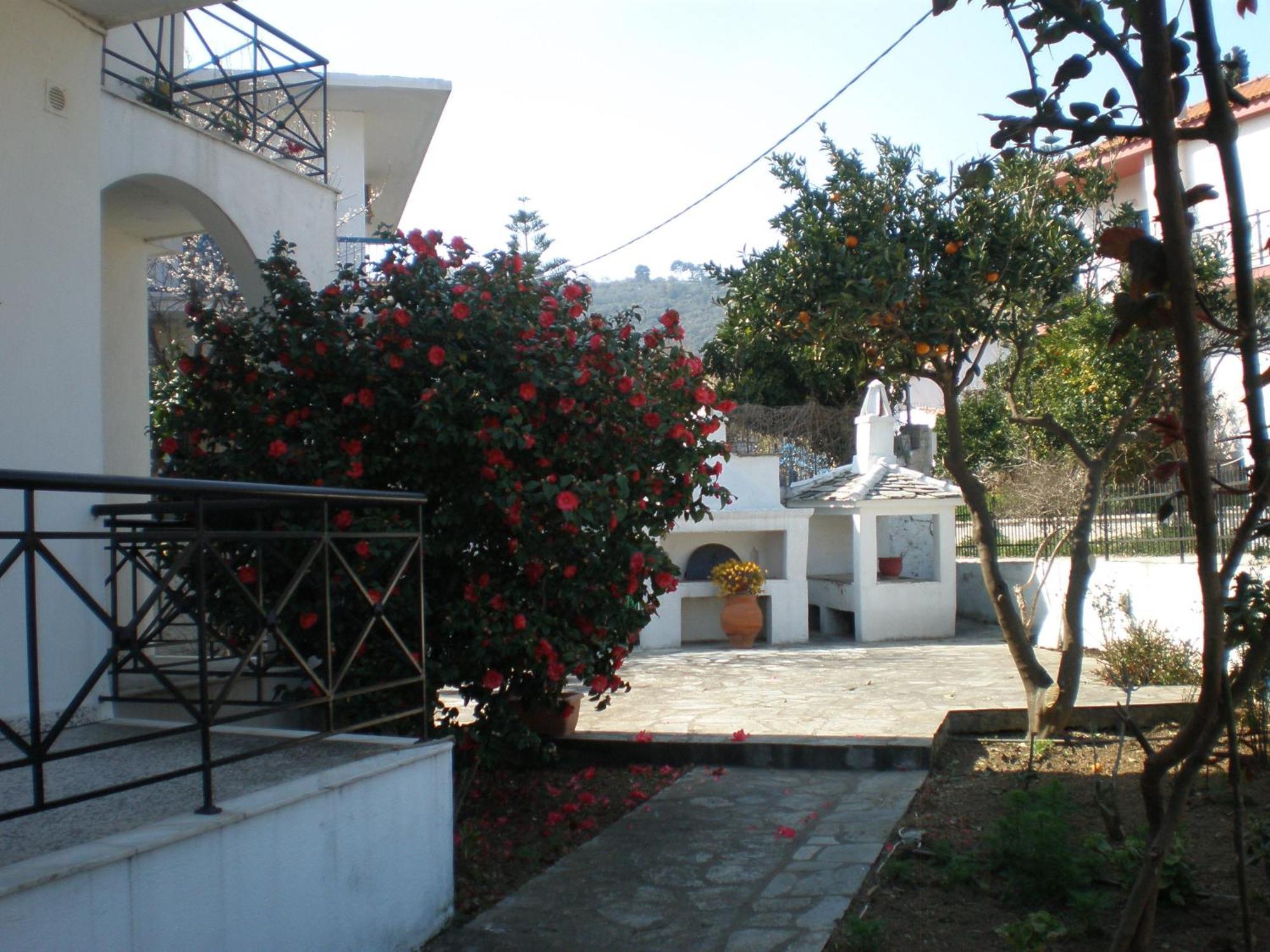 Karagiozos Studios & Apartments Skopelos Eksteriør billede
