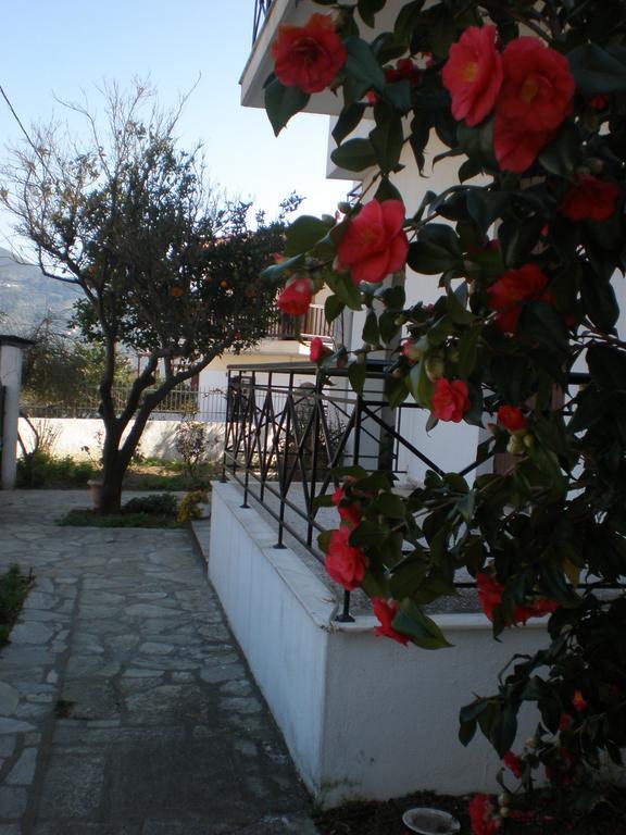 Karagiozos Studios & Apartments Skopelos Værelse billede